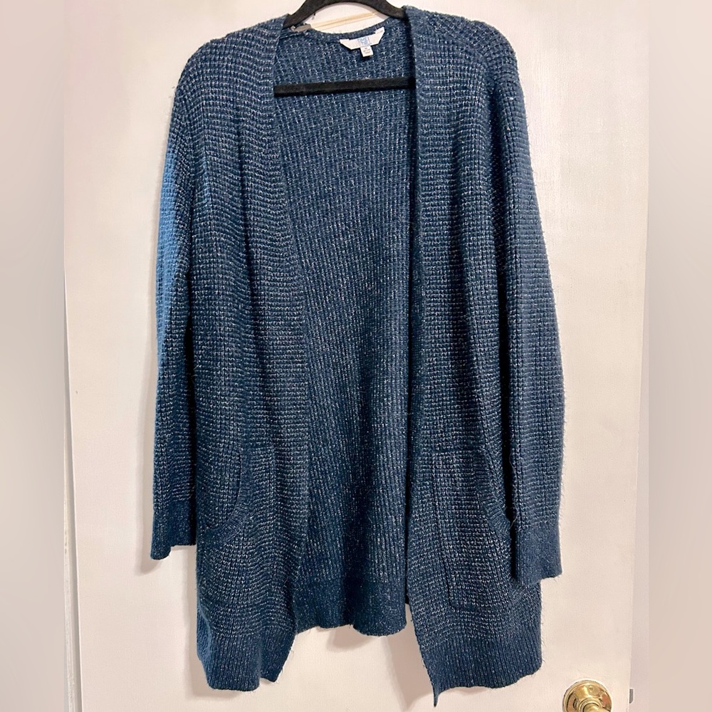Cozy Blue Women's Sweater
